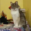 Отзыв от Аня Александрова